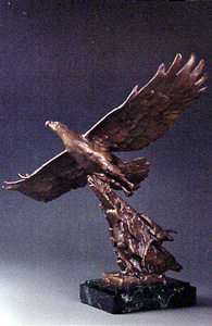 Soaring