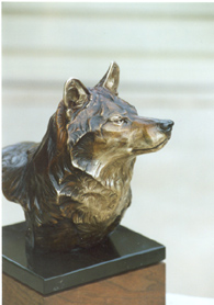 Sombra Del Lobo