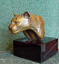 Gato Montes