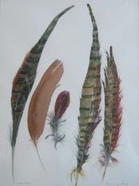 Five Feathers