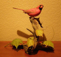 Cardinal