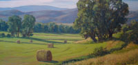 Elk River Valley Summer