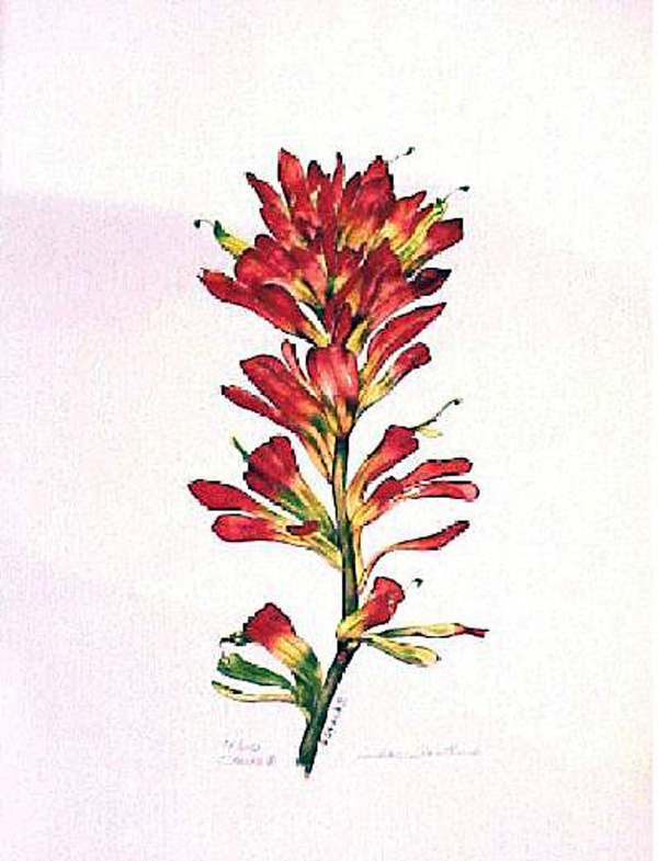 Paintbrush