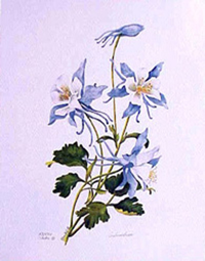 Columbine