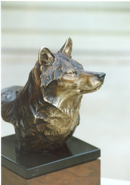 Sombra Del Lobo