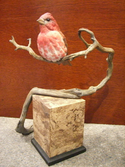Purple  Finch