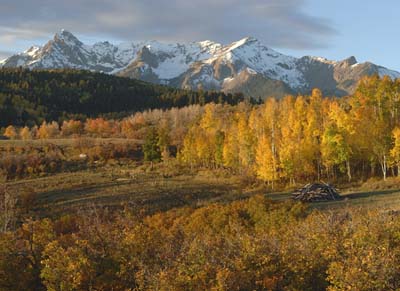 Sneffels Morning