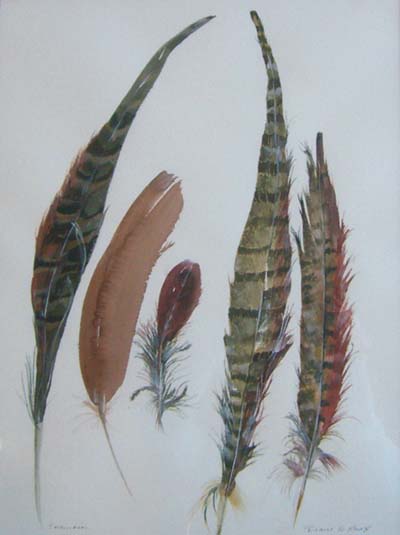 Five Feathers