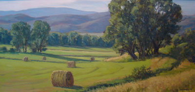 Elk River Valley Summer