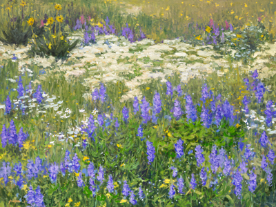 Wildflower Splendor