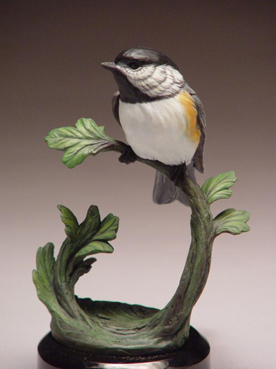 Black Capped Chickadee