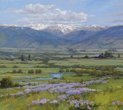 Wild Iris on Little Grizzly Creek