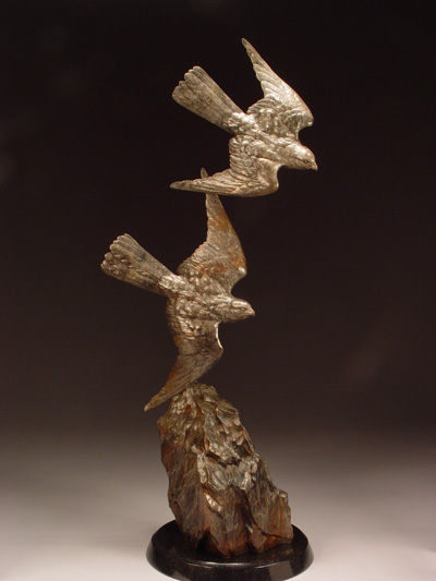 Chasing the Wind (kestrels)