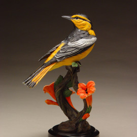 Bullock's Oriole