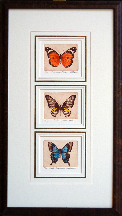 Butterfly Triptych