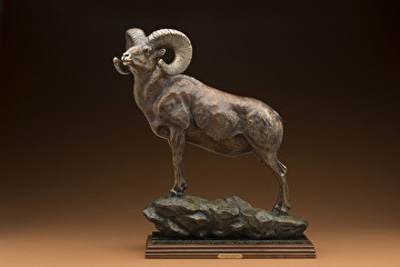 High Basin Bighorn