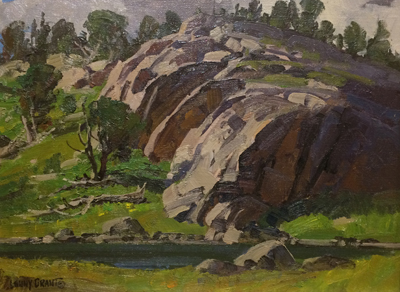 Limber Pines and Rock Study