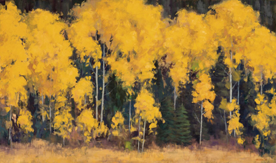 Aspen Symphony