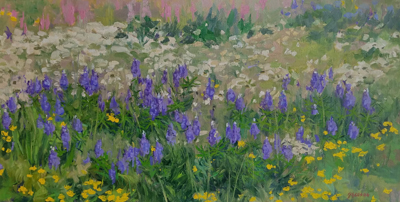 Colorado Wildflowers