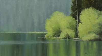 Lily Pads at String Lake