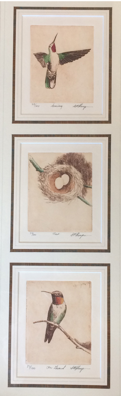 Hummingbird Triptych