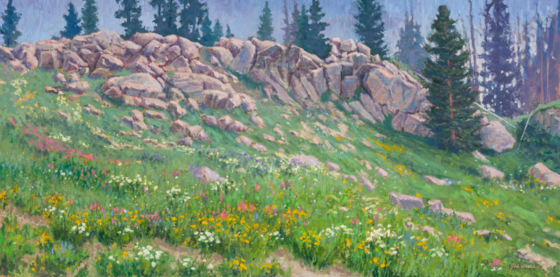 Summer on Buffalo Pass