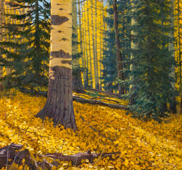 Autumn Shadows