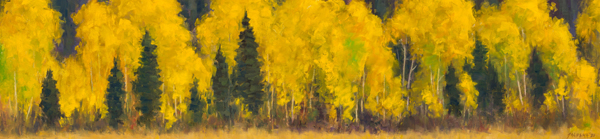 Autumn's Aurum