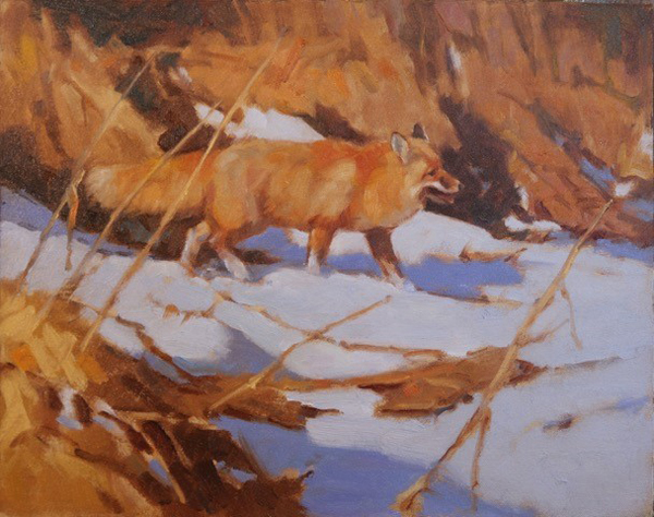 Red Fox