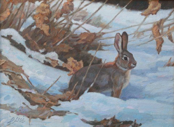 Winter Rabbit