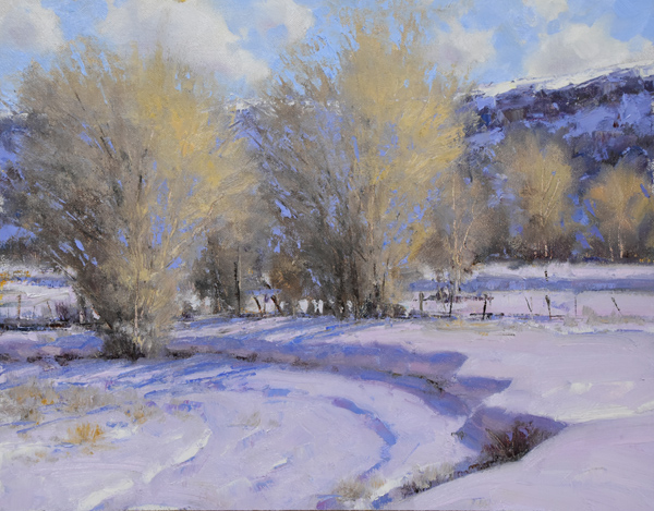 When the Yampa Freezes