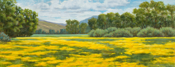 Dandelions in Bloom