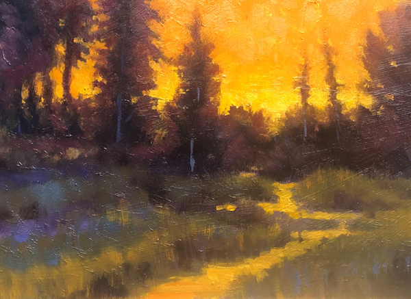 Creekside Light Show