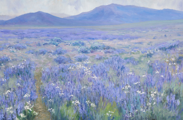 High Country Lupine