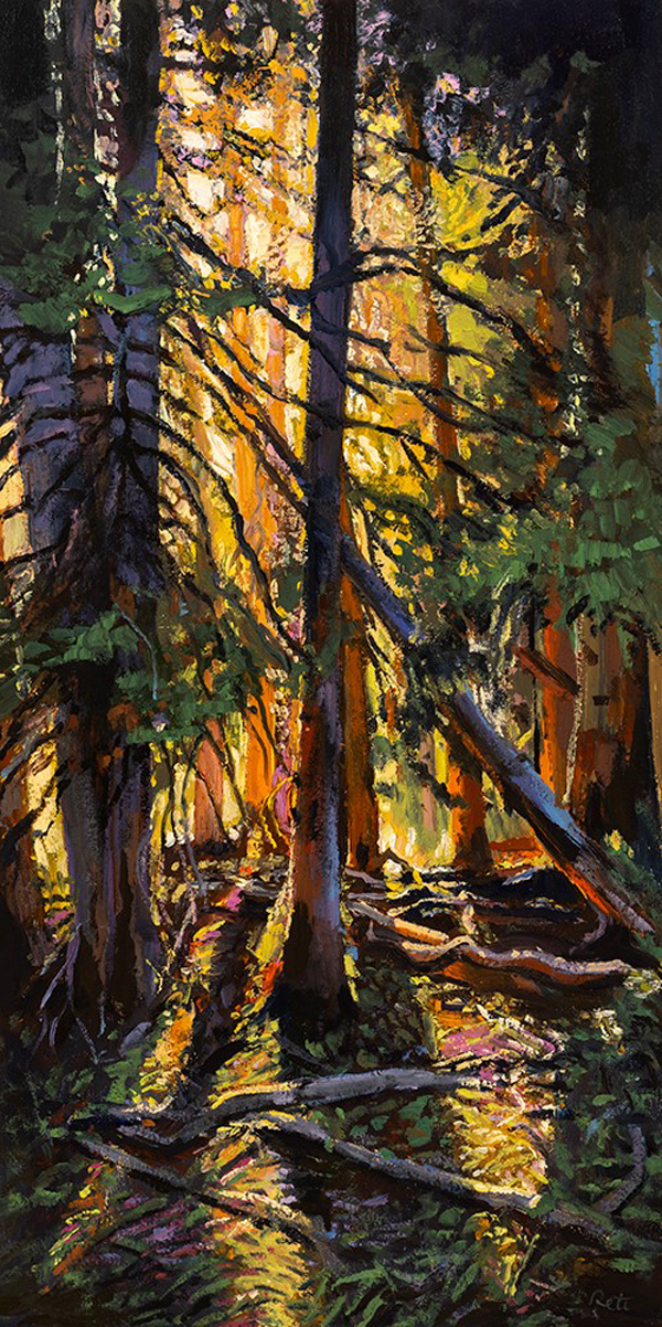 Through the Old Growth