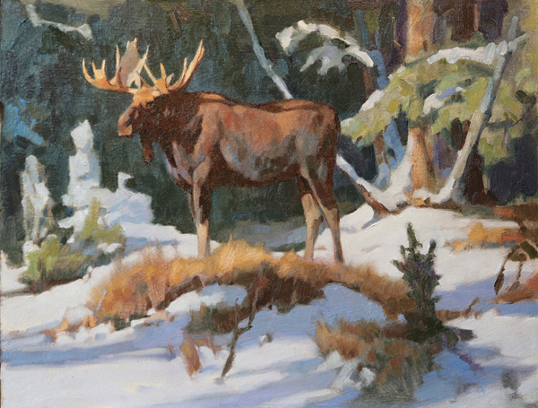 Winter Moose