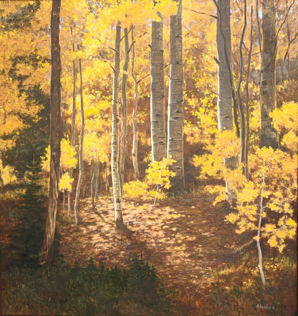 Forest Light