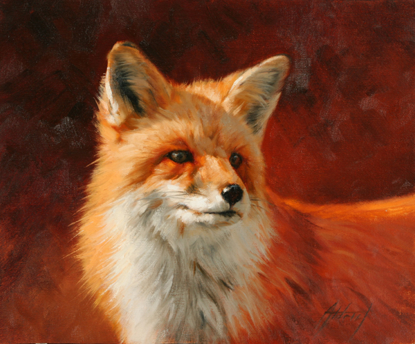 Red Fox on Red