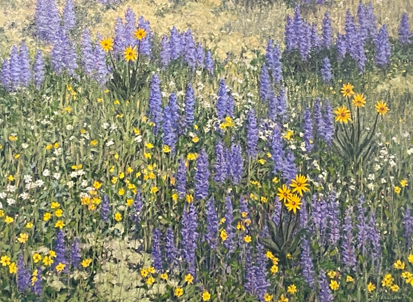Rocky Mountain Wildflowers II