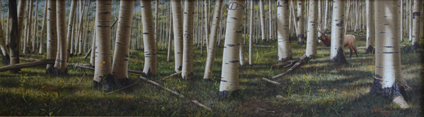 First Light (aspen-elk)