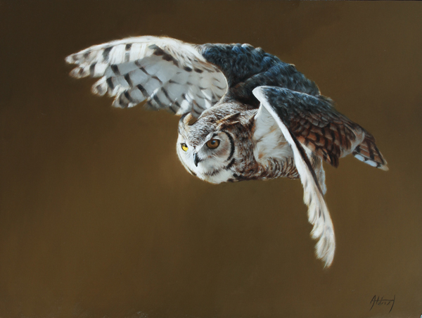 Flight Through Darkness