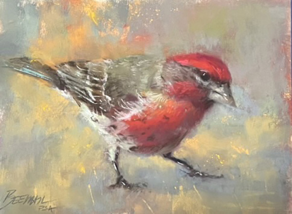 Scratching the Surface