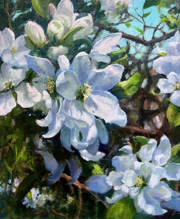 Apple Blossoms