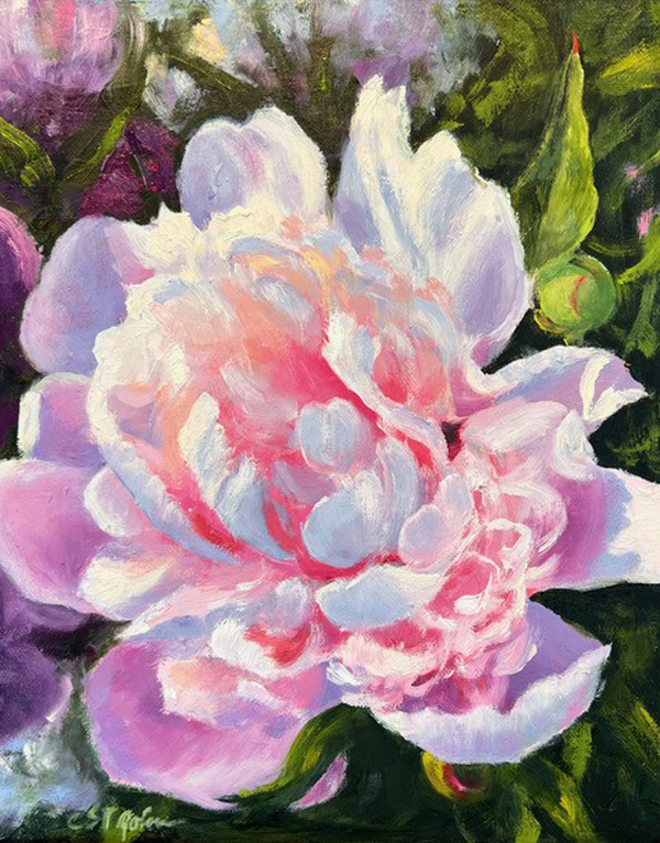 Perfect Peony