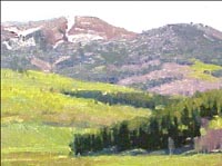 On The Side of Hahns Peak