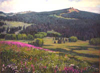 View of Rabbit Ears Pass