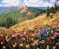 Rabbit Ears Wildflowers