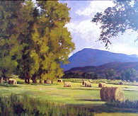 Hay Bales In Summer