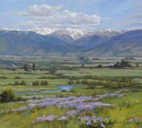 Wild Iris on Little Grizzly Creek