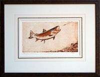 Brown Trout (with flies)